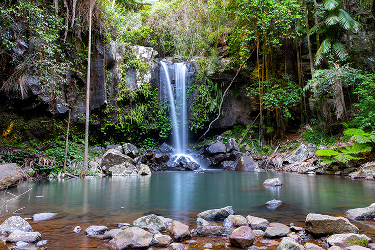 tamborine national park waterfall