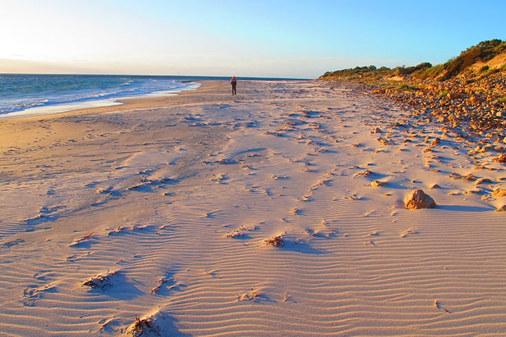 beach dunes at innes national park