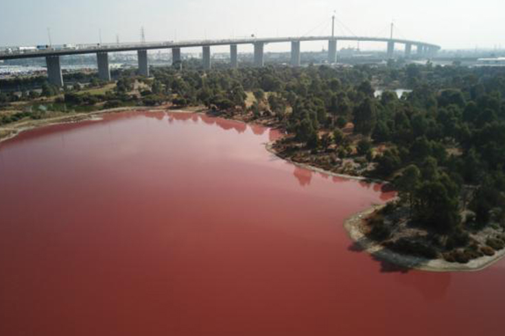 pink lake at westgate park melbourne