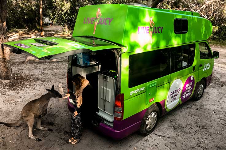 Woman feeding kangaroo out of the back of her JUCY Condo Campervan