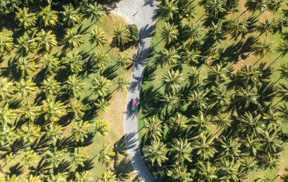 cairns to cape tribulation road trip itinerary COVER