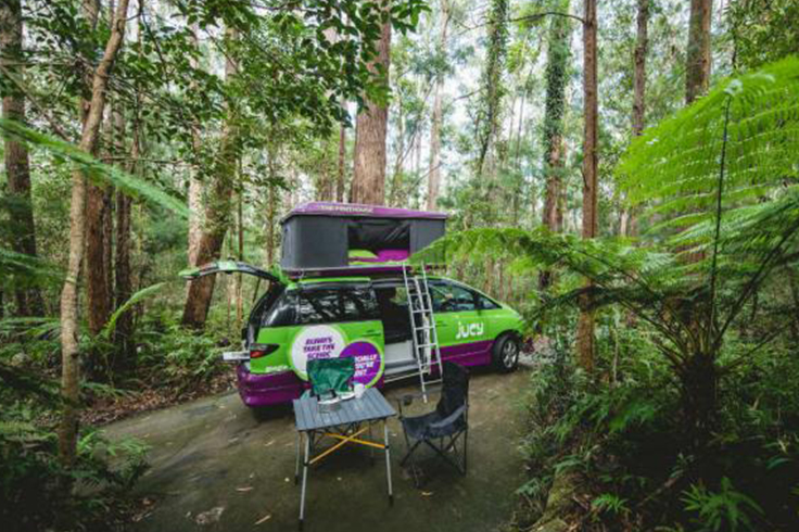 jucy four berth camper at forest campground