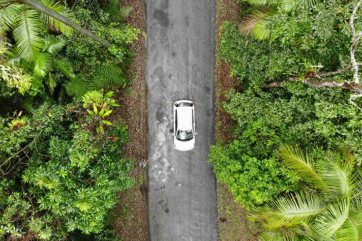 jucy car driving through national park in new south wales