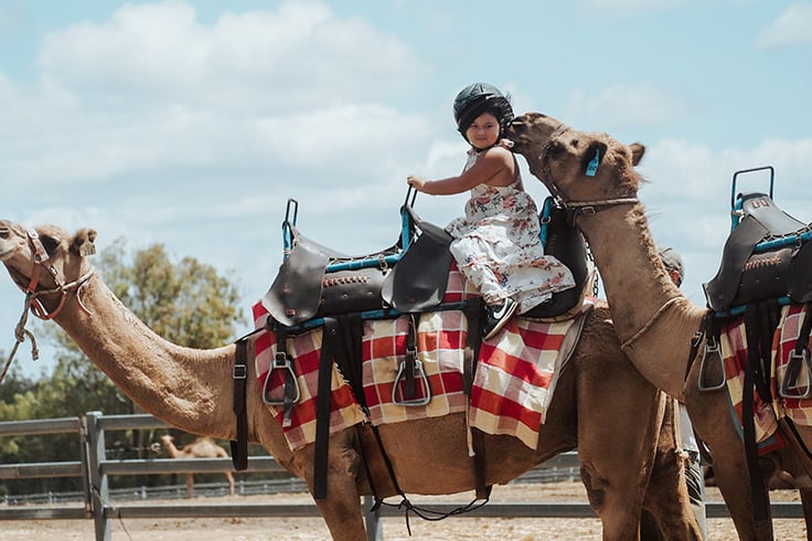 girl riding camel