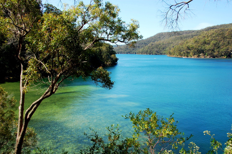 kuringaii-chase-national-park-sydney