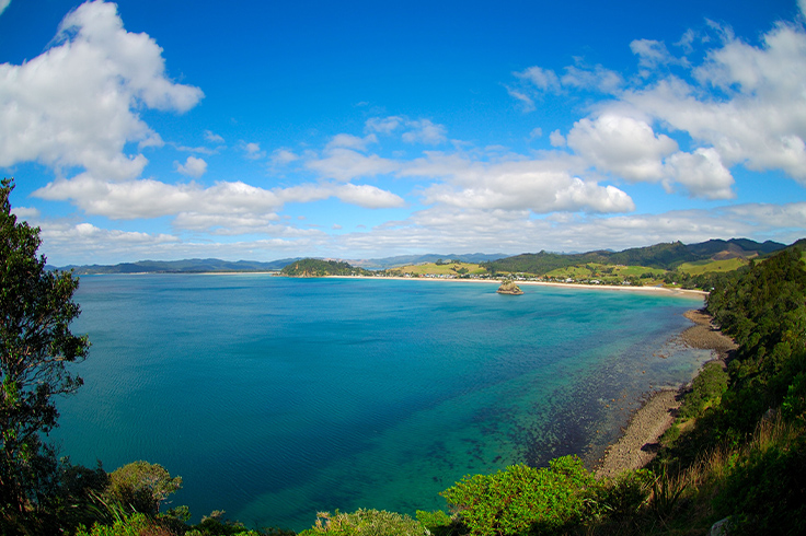 Aerial view of New Zealand beach