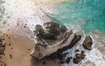Road Trip to The Best Beaches from Auckland
