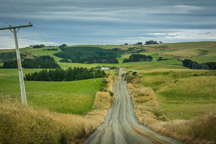 Green fields and country track