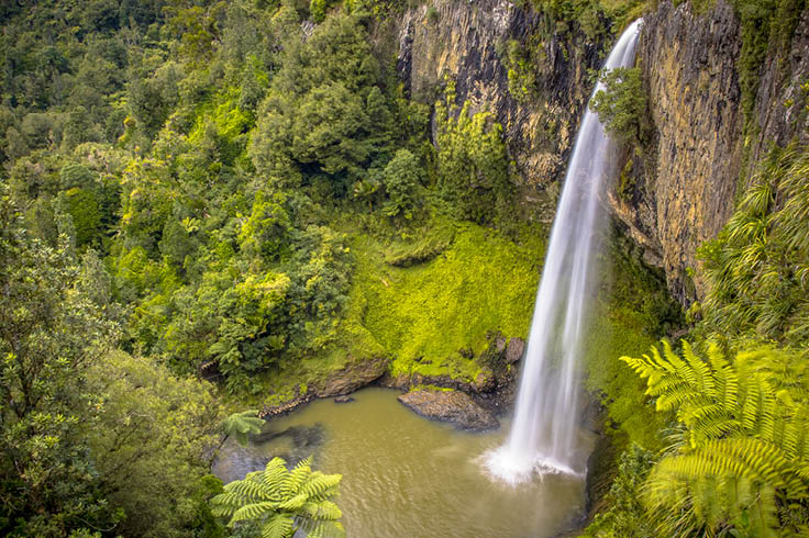 Waterfall in forest