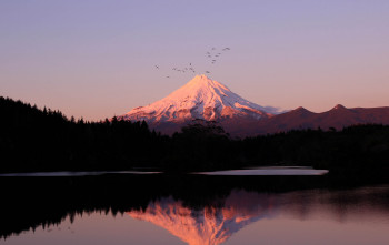 Take a North Island West Coast Road Trip