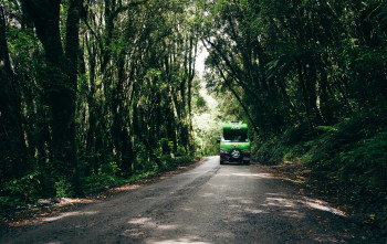 In Celebration of Te Wiki o te Reo Māori: the Best of Māori Tourism