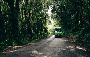 The ultimate surf road trip up the West Coast from Auckland