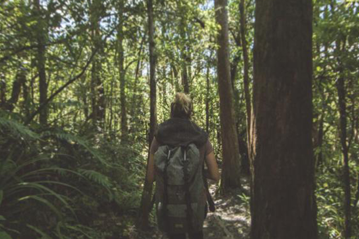 Girl hiking through wood