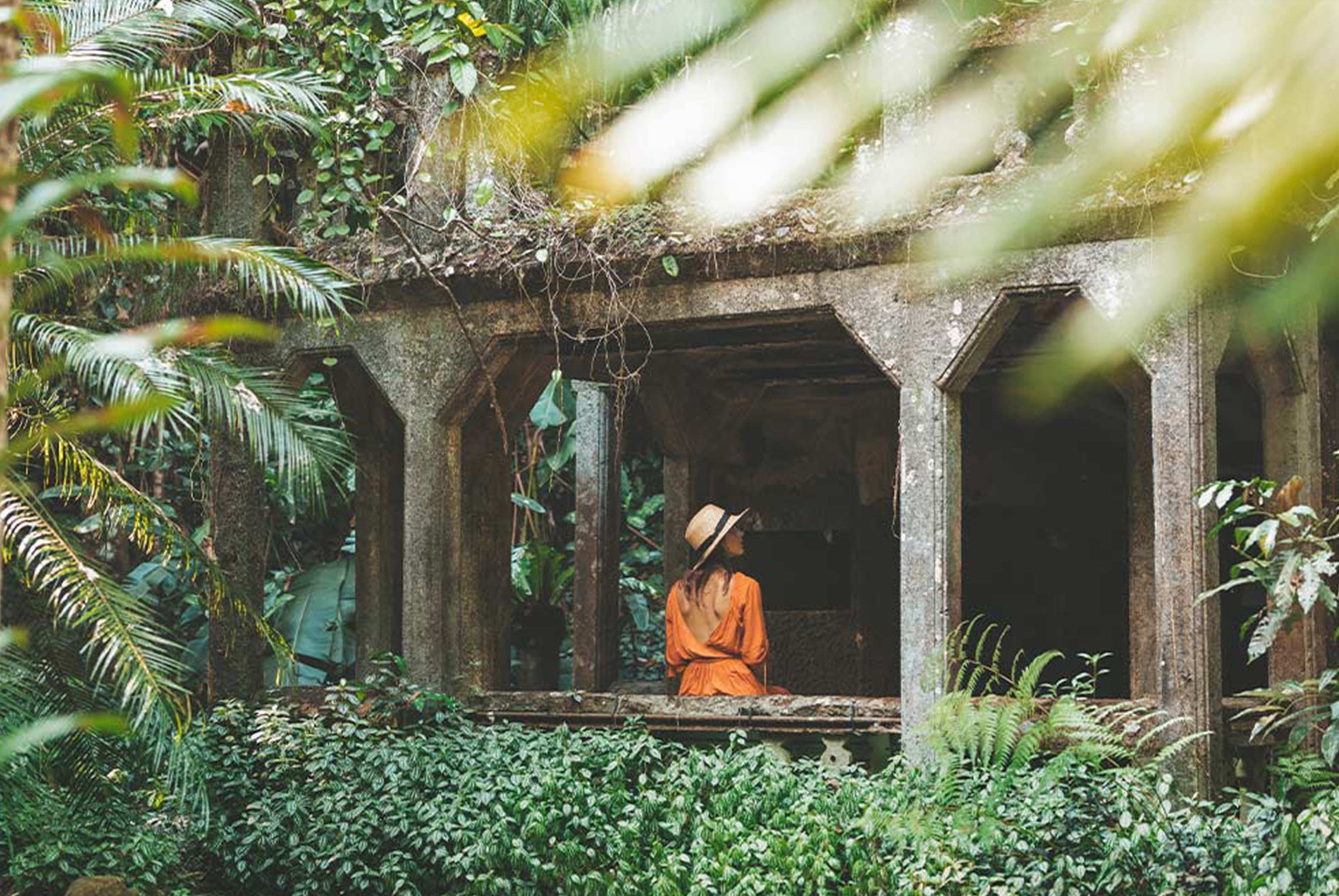 11 highlights from a road trip in tropical north queensland COVER