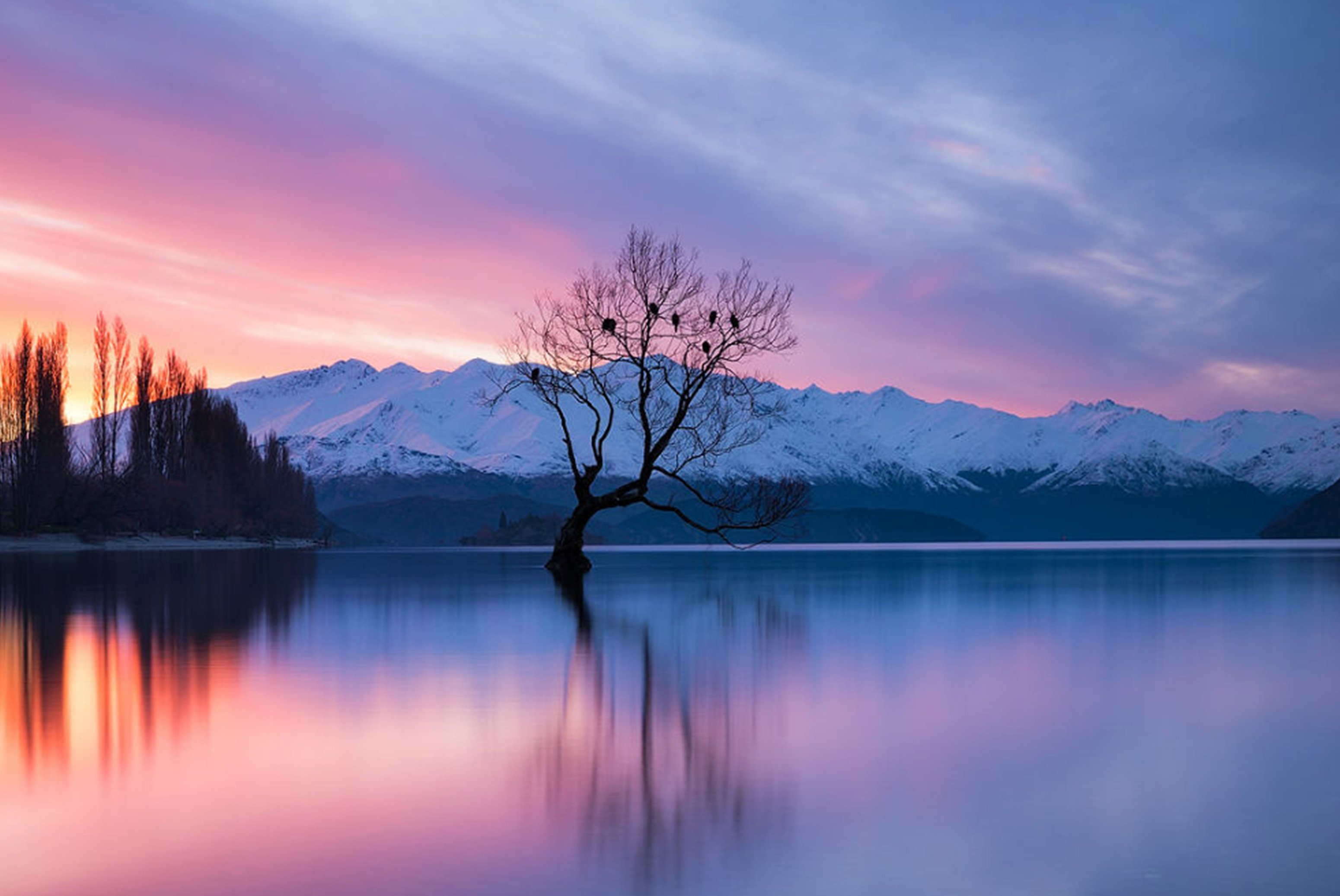 wanaka 4 day itinerary cover