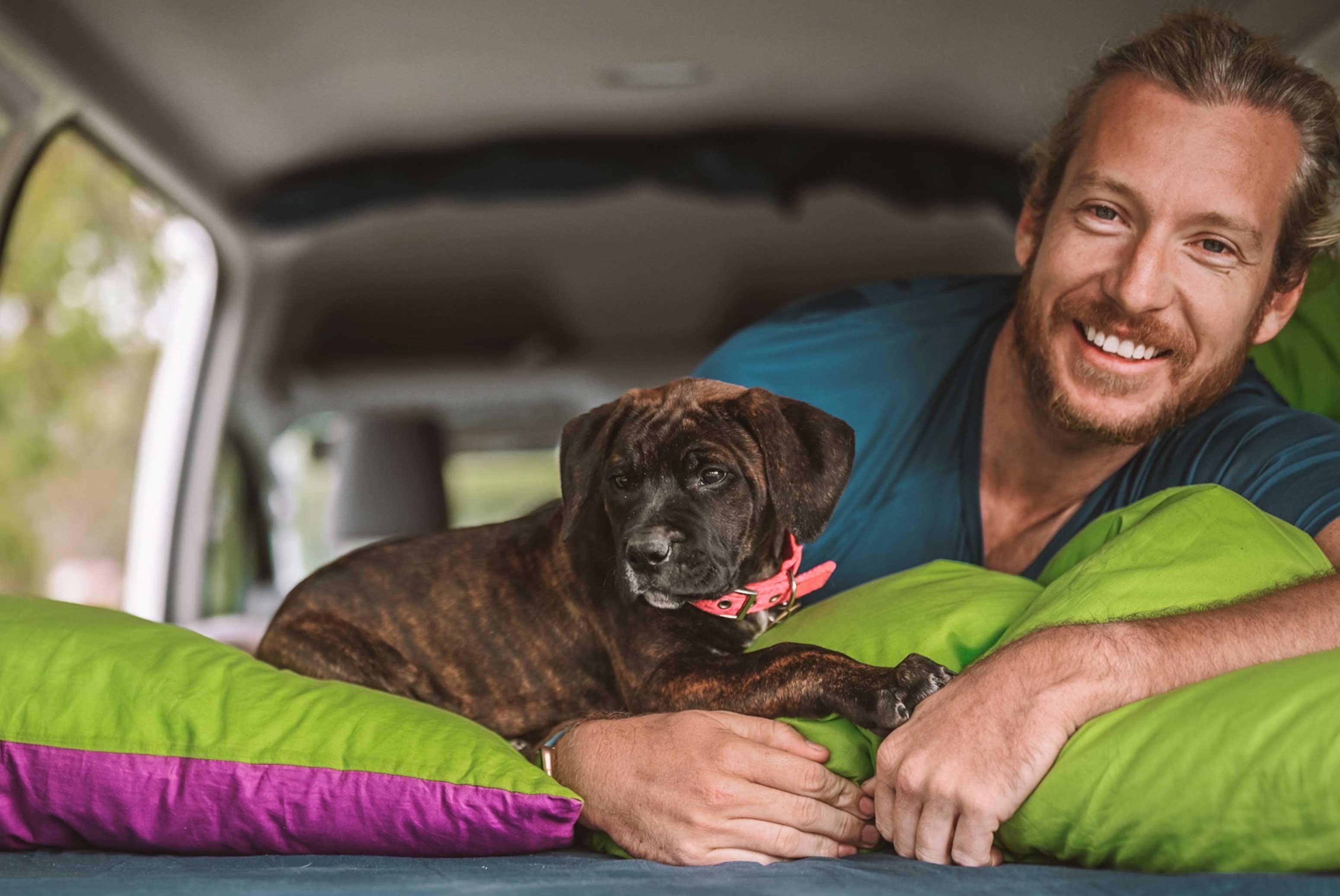 Pets in campers 3100x2074 1
